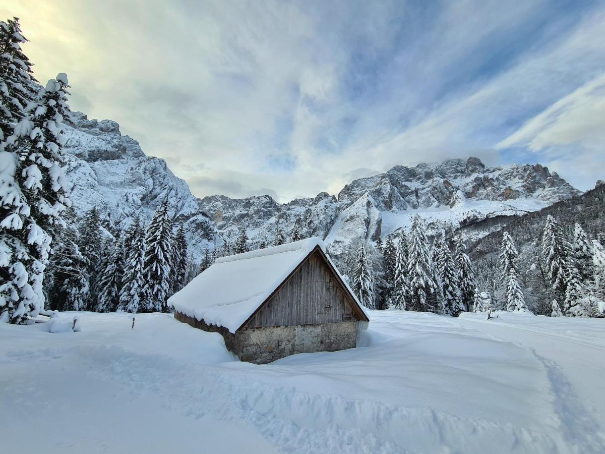 Chalet Camporosso Camporosso  外观 照片