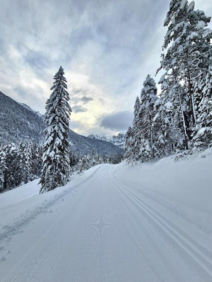 Chalet Camporosso Camporosso  外观 照片